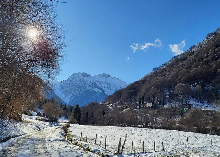 Le Louveteau Beaudéan